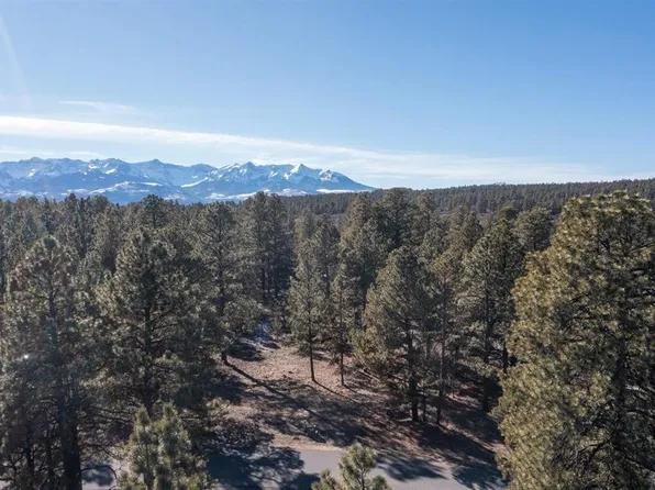 TBD S Badger Trail, Ridgway, CO 81432