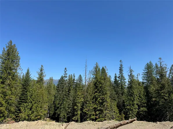 208 Elk Creek Rd, Heron, MT 59844