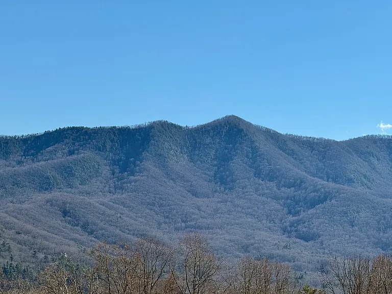 WInter View