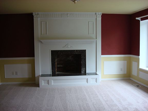 Wood Burning Fireplace