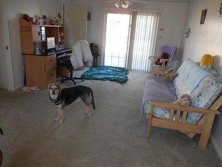 5th image of 4231 Quail Dr NW