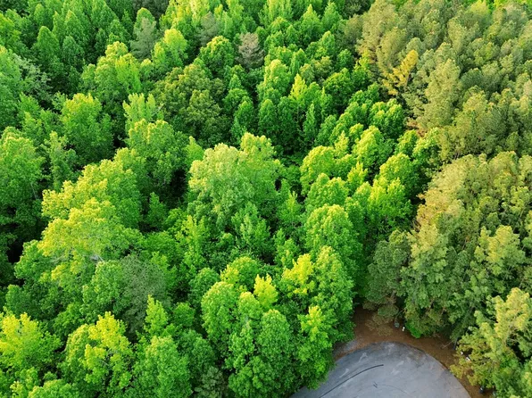 0 Allen Bend Rd Lot 15, Smithville, TN 37166