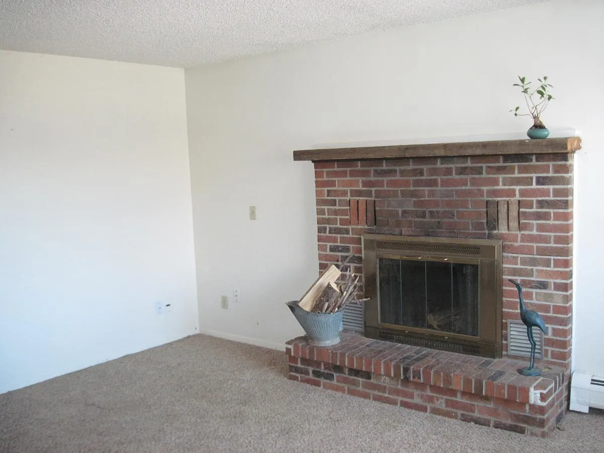 Living Room - 730 Carbondale Dr #B