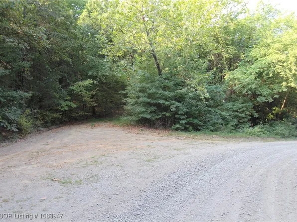 81 Old Loop, Rudy, AR 72952