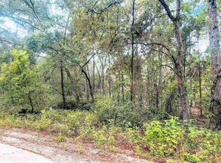 Minnesota Ave, Satsuma, FL 32189