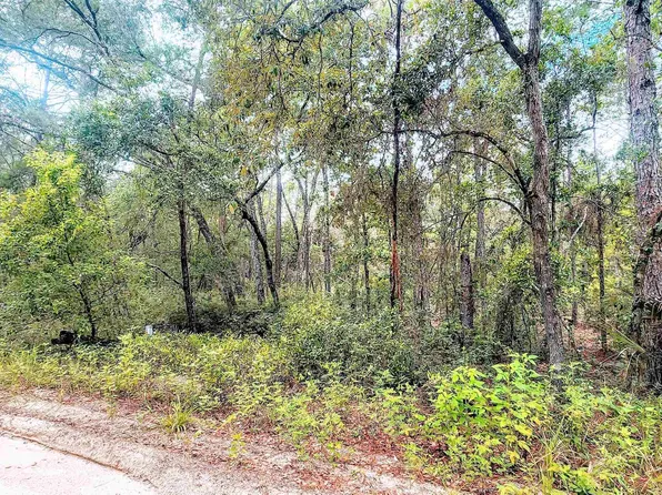 Minnesota Ave, Satsuma, FL 32189