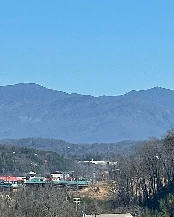 View from sunroom