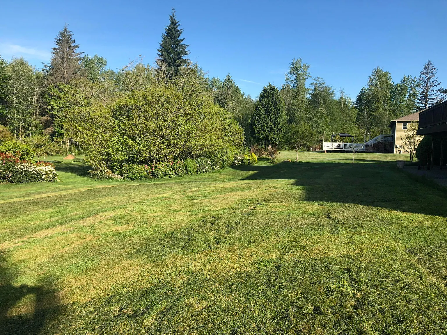 4 bed, 2.5 bath, 2859 sqft, $4,290 — Photo 4
