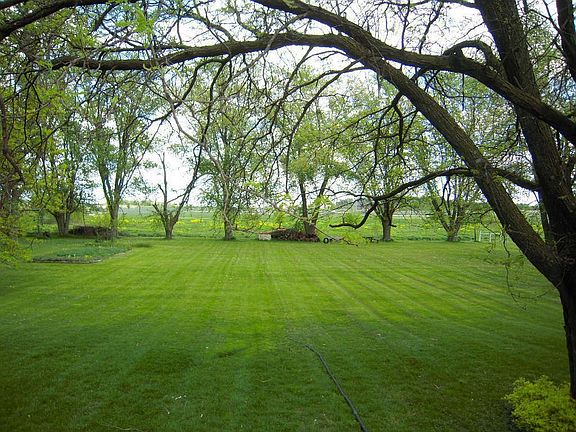 Rear Yard Backs Up To Marion Park For Extra Privacy