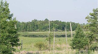 4th image of 25541 Whiskey Creek Dr