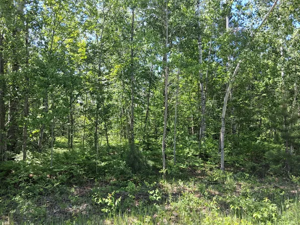 Pineview Dr, Mancelona, MI 49659