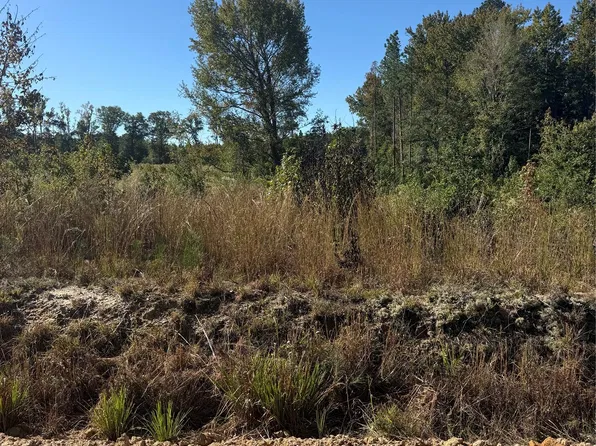 Rock House Rd, Mount Croghan, SC 29727
