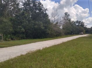 450 Cherokee Oaks Trl, Pierson, FL 32180