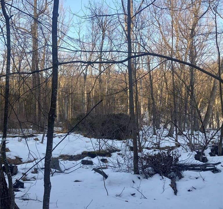 2nd image of 88 Bear Cub Trl