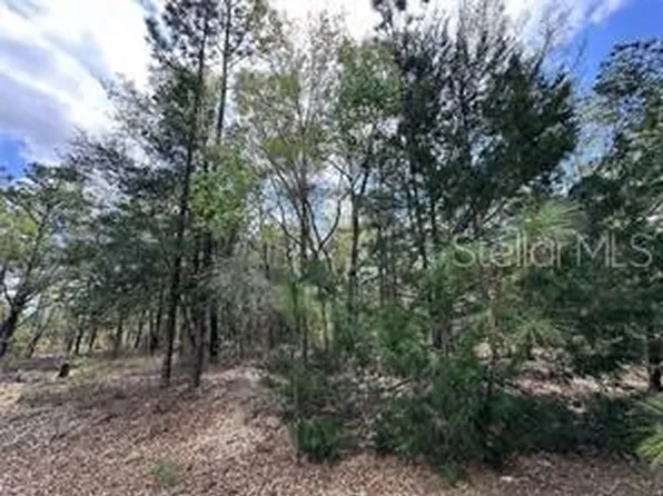 NE 12th Ln #3, Williston, FL 32696