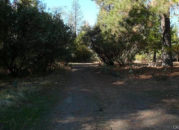 Driveway into the property