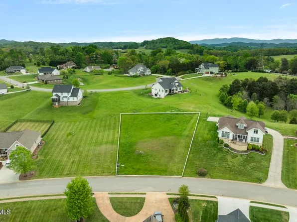 221 Forest Ln N, Blountville, TN 37617