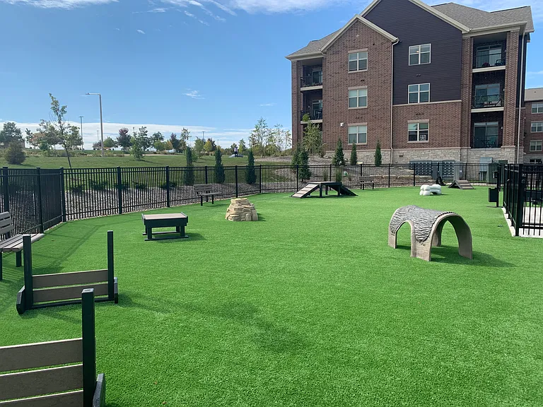 Dog Park with Agility Course