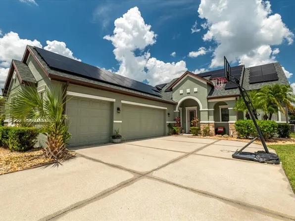 19358 Yellow Clover Dr, Tampa, FL 33647