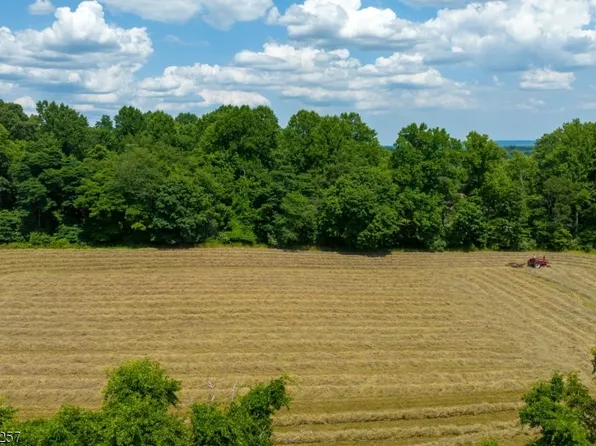 475 Sergeantsville Rd, Delaware Twp., NJ 08822