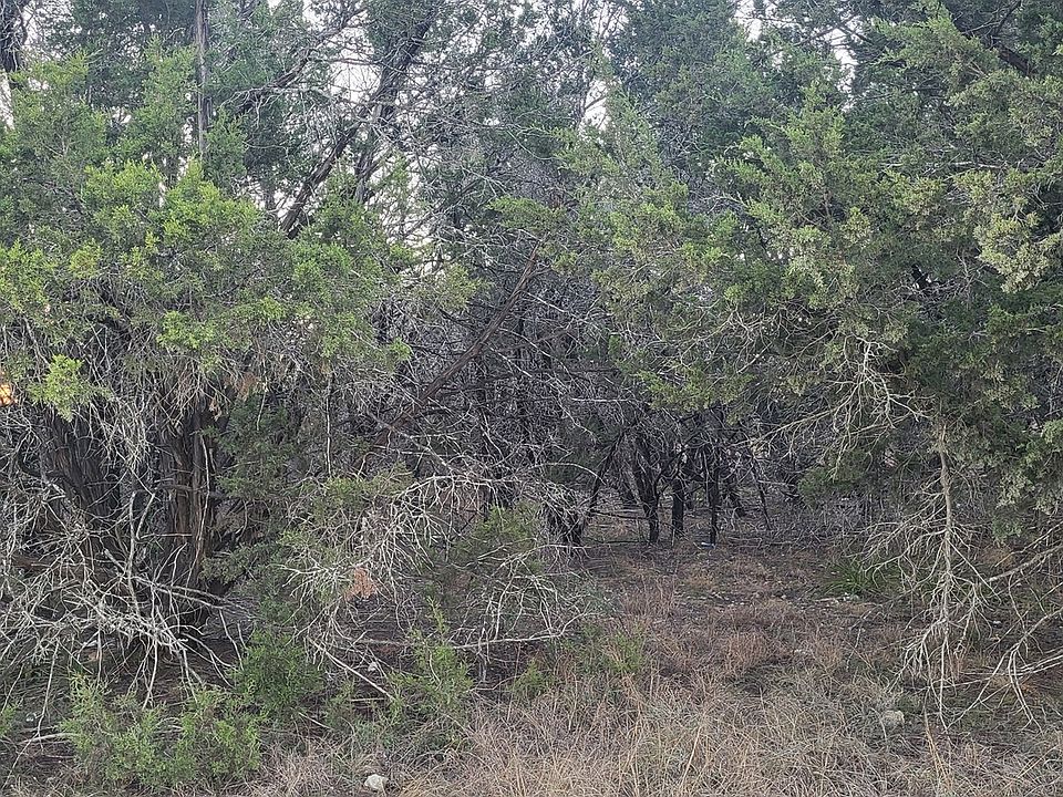 2nd image of 0 Tbd (Oak Ridge - lot 22) LOT 22