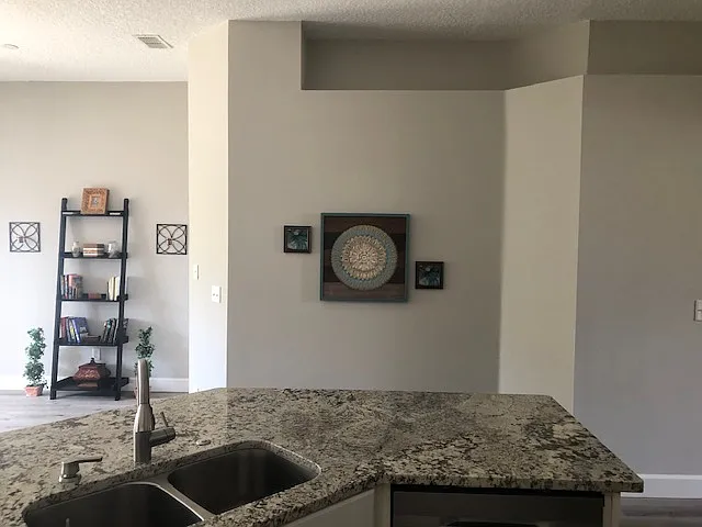 338 Bridgestone Ct — Photo 13
