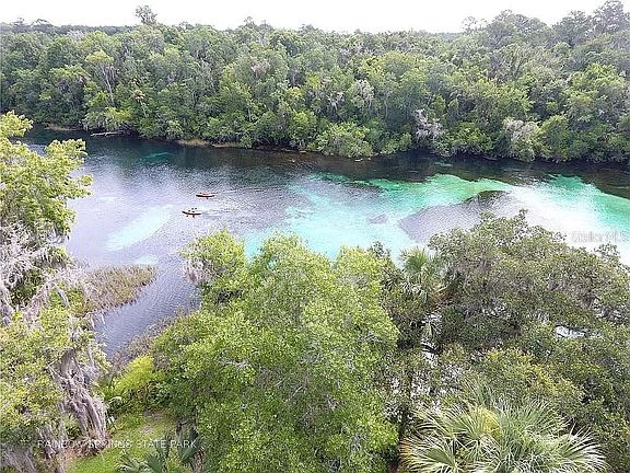 Rainbow Springs State Pk