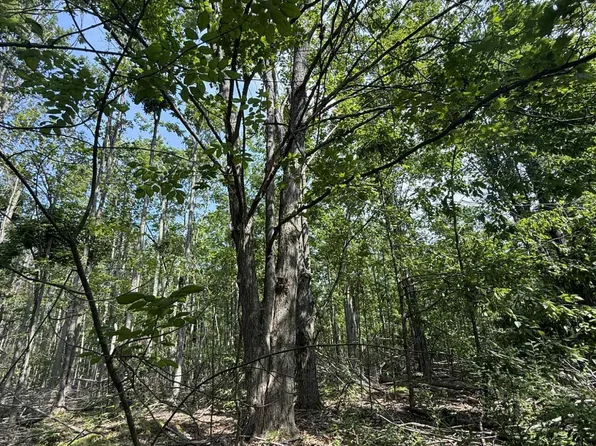 Nhn Farrier Rd, Hillman, MI 49746