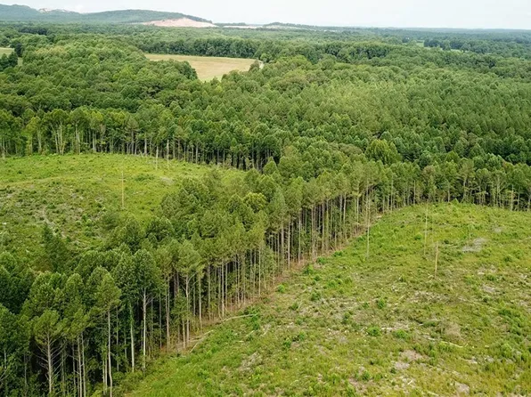 0 Back Mountain Rd, Dillwyn, VA 23936