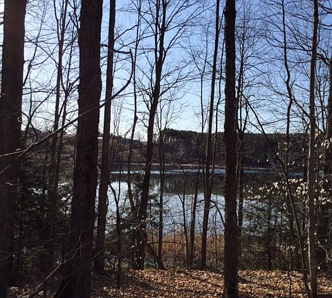 Last fall with no leaves