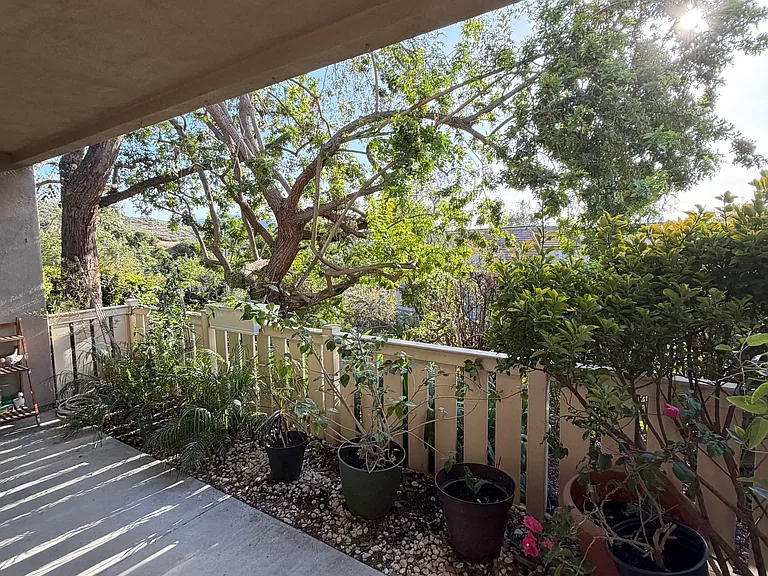 221 Oakleaf Dr — Photo 19