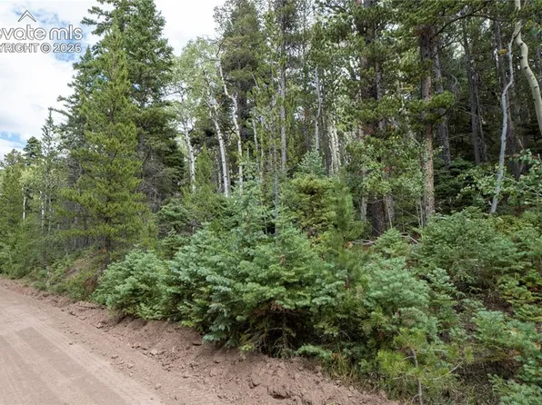 2238 Buonaventura Ln, Fort Garland, CO 81133