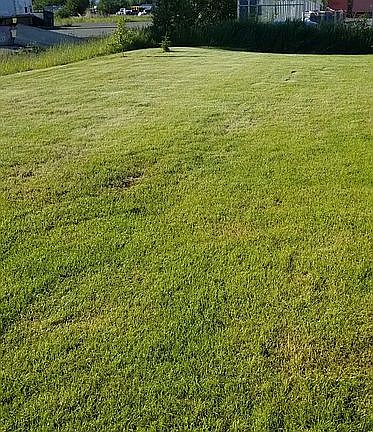 Partial side yard view