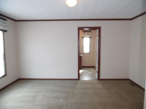 4th image of 28737 Boxwood