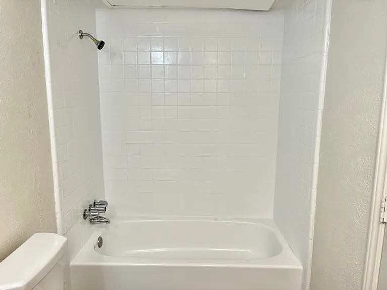 4020 Blue Flag Ln — Photo 18