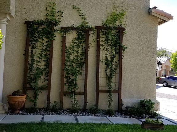 4th image of 4016 Crooked Path Ct