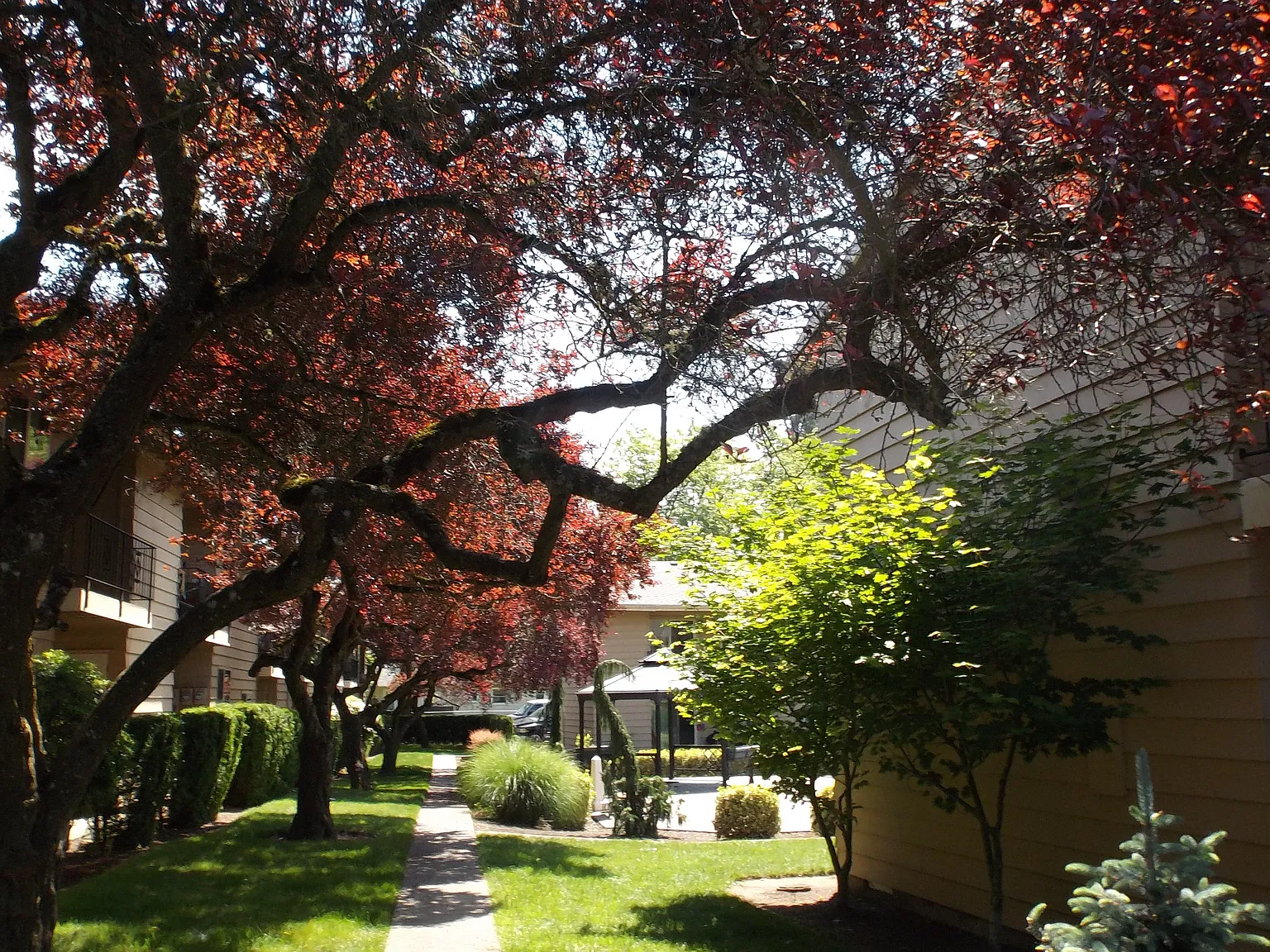 Meadow Park Apartments — Photo 2