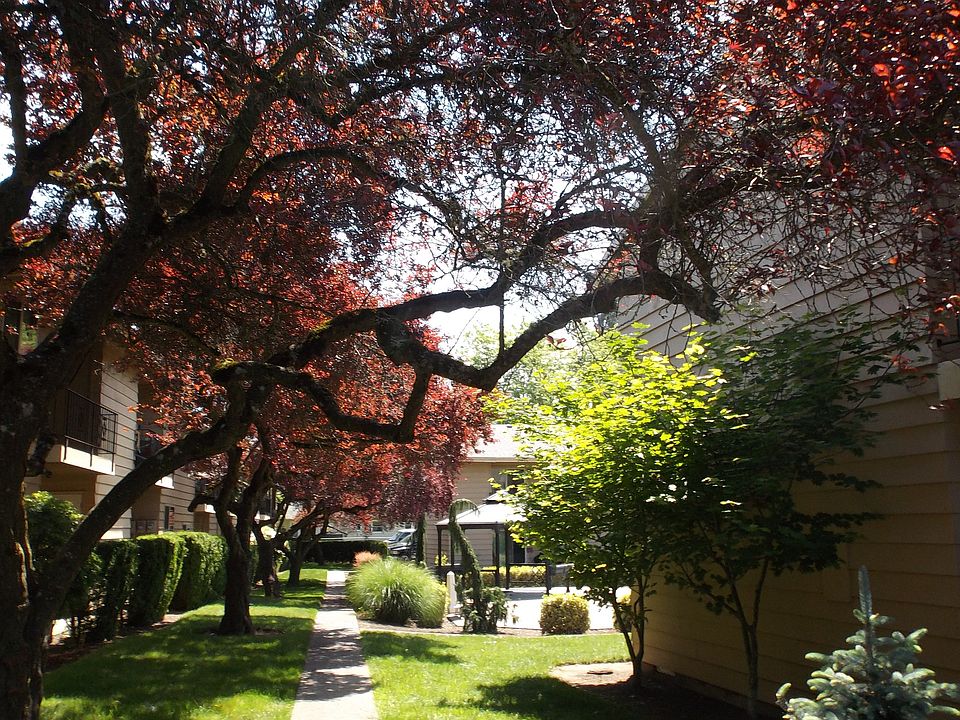 Meadow Park Apartments - Beaverton Oregon