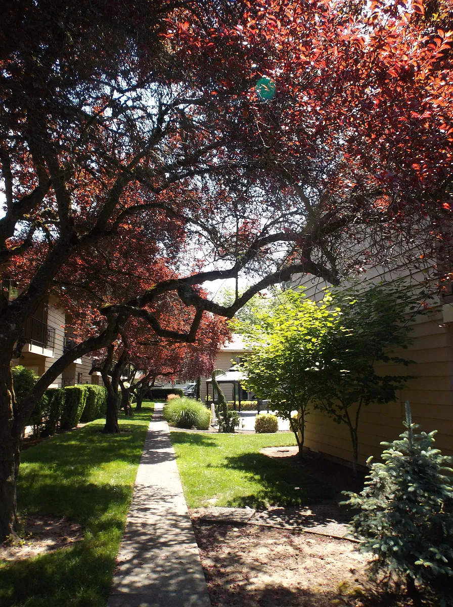 Meadow Park Apartments - Beaverton Oregon - Meadow Park Apartments