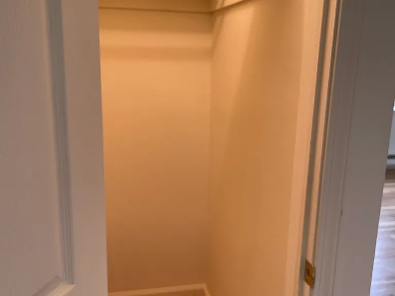 One of 2 large closet on first floor
