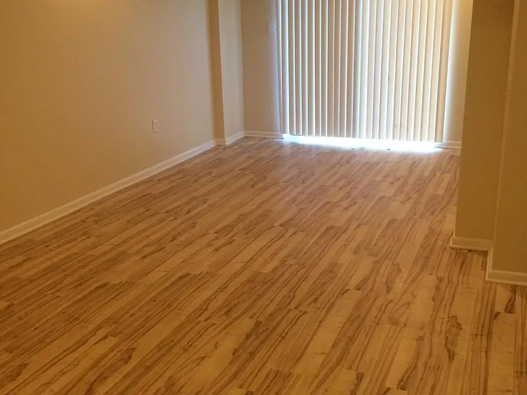 Large Finished Basement
