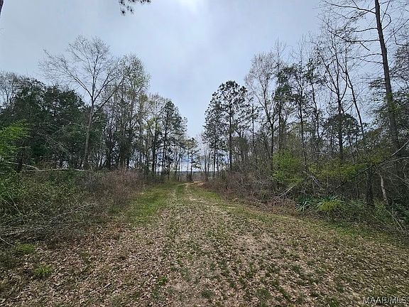 931 County Road 216, Ariton, AL 36311 | MLS #549542 | Zillow