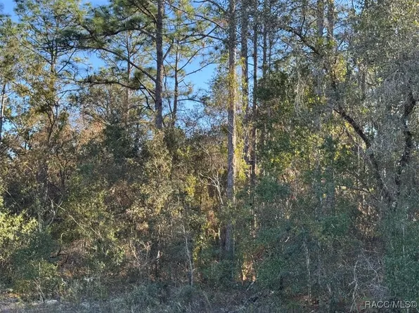 3144 W Marie Dr, Citrus Springs, FL 34433