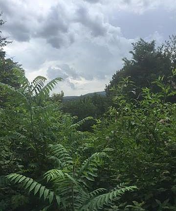 2nd image of Lot 97 Catawba Falls Preserve Rd #97