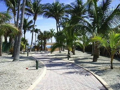 El Mar Beach Club access 