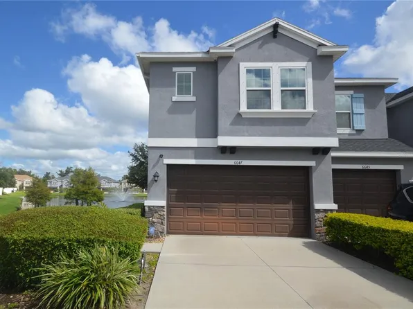 6647 Rocky Park St, Tampa, FL 33625