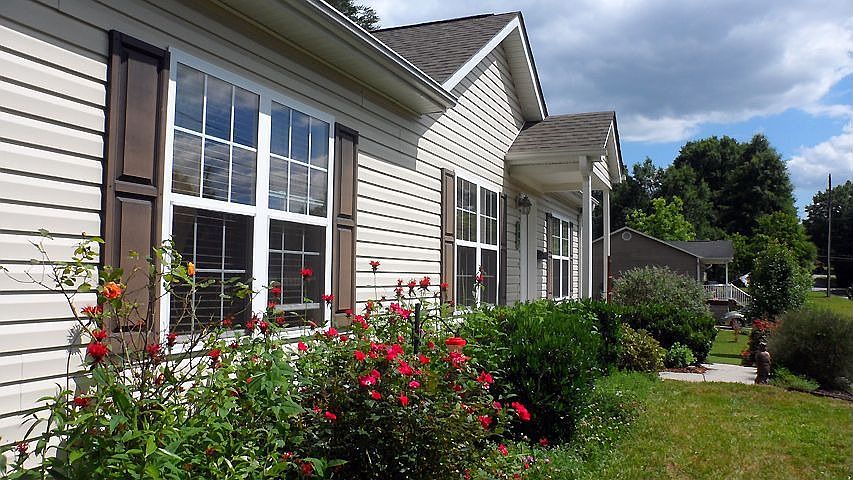 Hummingbird garden