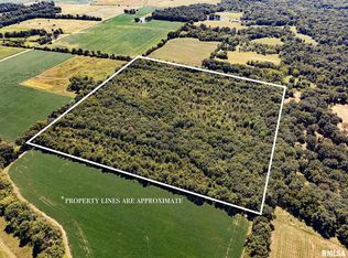 0 Hanna Rd, Kinmundy, IL 62854