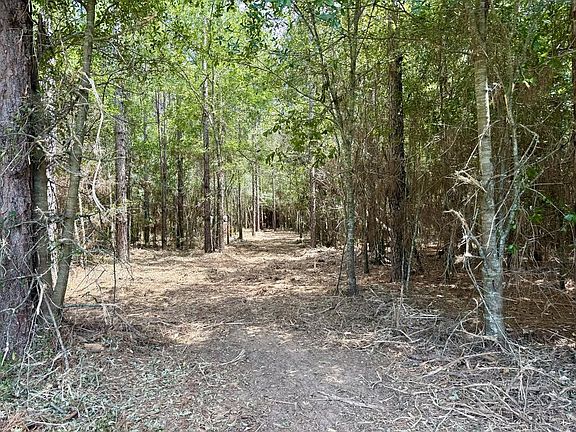 5th image of N County Road 79