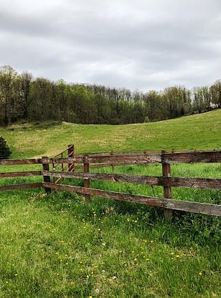 2nd image of 2628 Bob Little Rd